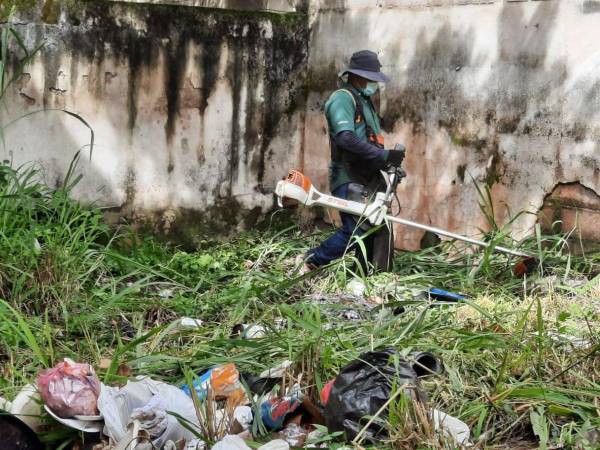 El equipo de jardinería de la UNAH procedió a realizar la limpieza del predio de la institución donde antes funcionó el Centro Social Universitario.