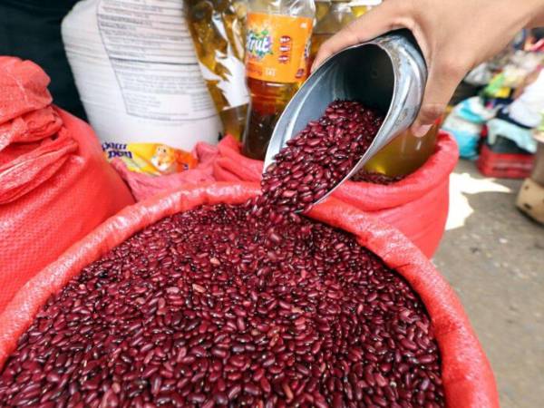 El gobierno y productores de frijol rojo acordaron un precio de garantía de 1,500 lempiras el quintal.