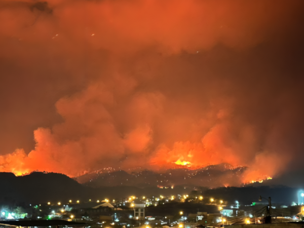 El arrasador fuego consumió varias hectáreas de bosque en el Parque Nacional La Tigra.