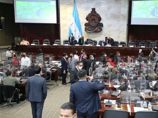 A la fecha ningún diputado presentó solicitud para disminución. Redondo devenga más de L 151 mil, directivos reciben de L 97 a L 110 mil, diputados propietarios L 90 mil y sus suplentes L 54 mil.