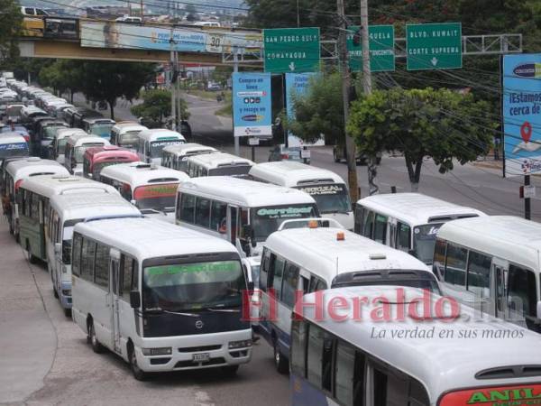 Los transportistas insisten que la tarifa actual se ha mantenido en los últimos diez años, por lo que ya es momento de actualizar los cobros.