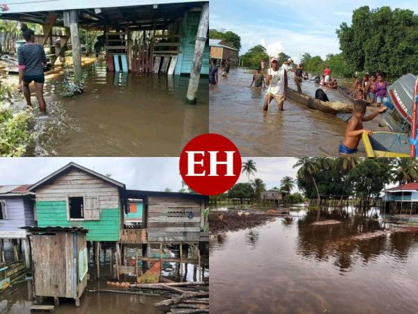 Wampusirpi y Villeda Morales son los municipios que a causas de las torrenciales lluvias mostraron inundaciones. De acuerdo al coordinador de la Plataforma Nacional de Incidencia Indígena de Honduras, Mario Miller, hay aproximadamente 35 mil personas afectadas en distintas comunidades del departamento de Gracias a Dios.