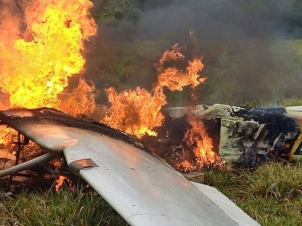 La avioneta tomó fuego al caer en la zona.