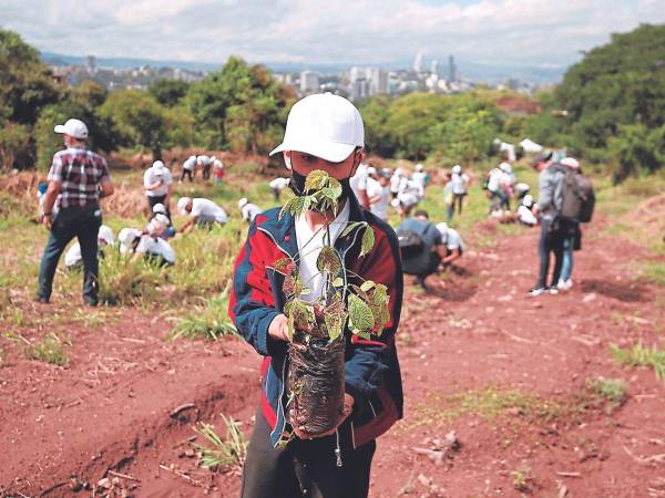 Los jóvenes que no residen en los municipios focalizados pueden aplicar y buscar movilizarse durante los ocho meses.