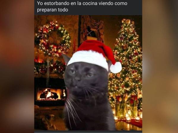 Si estabas buscando memes para desear Feliz Navidad a tus amigos y familiares, aquí te dejamos una recopilación de los más divertidos que circulan en Internet.