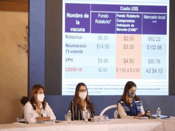 Autoridades de Salud y representantes de organismos internacionales explicaron las ventajas de adquirir vacunas a través de Covax.