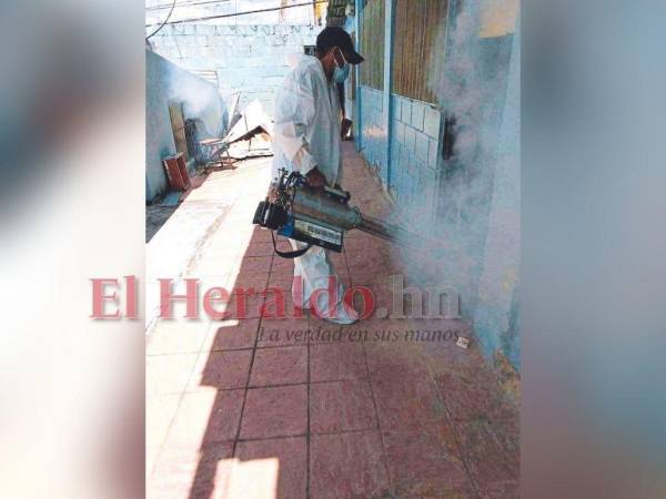 Los técnicos de la Región de Salud de Choluteca comenzaron esta semana fumigaciones en los municipios más afectados por dengue.