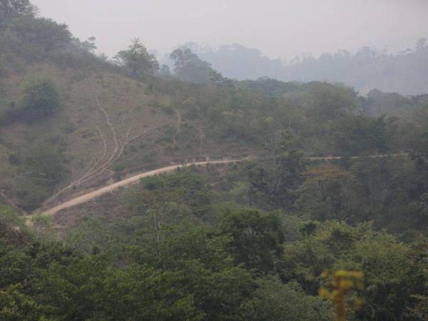 El acuerdo promete poner un alto a la deforestación en la biósfera y otras zonas protegidas.