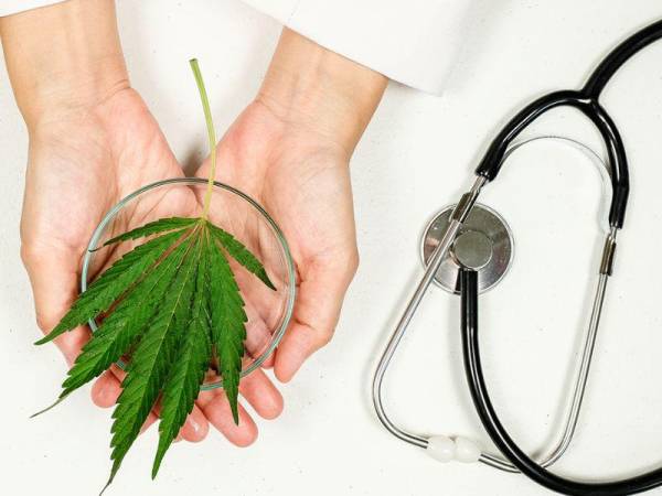 Las leyes contra el cannabis son particularmente severas en Japón, donde estrellas internacionales se vieron afectadas.