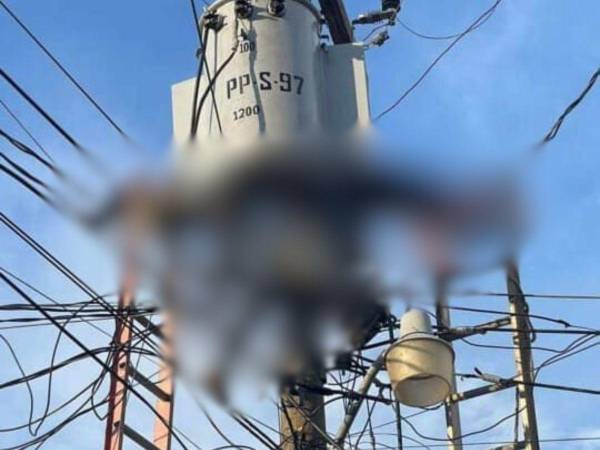 Los cuerpos de los trabajadores quedaron tendidos en el cableado; uno murió en el lugar mientras que el otro fue trasladado a un centro asistencial para ser atendido.