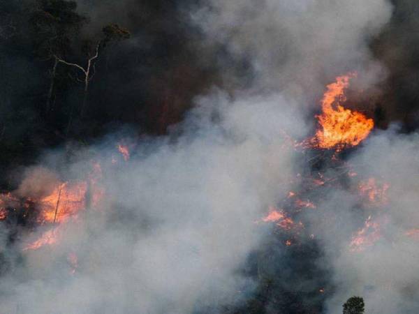 El bosque del Amazonas, abarca gran parte del noroeste de Brasil y se extiende hasta Colombia, Perú y otros países de Sudamérica, también es considerado el pulmón principal del mundo, sin embargo, la excesiva Deforestación y las quemas sin mesura están acabando con este patrimonio de la humanidad.