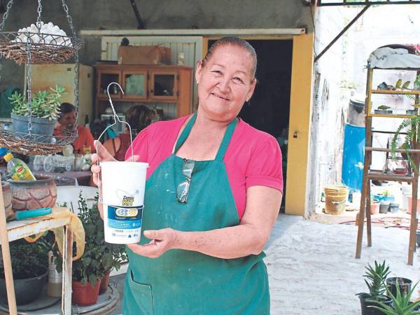 Las autoridades anunciaron ayer que en julio comenzarán con el proyecto de liberar mosquitos con Wolbachia para prevenir el dengue.