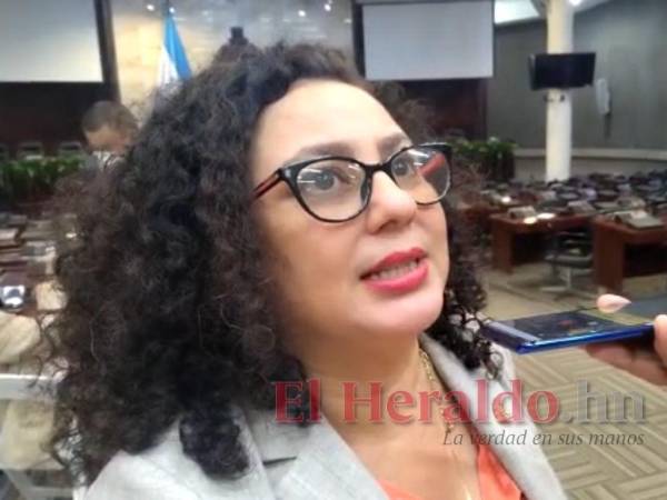 La diputada dijo que su proyecto de reforma busca definir términos que no están ni en la Constitución ni en el Código Penal.