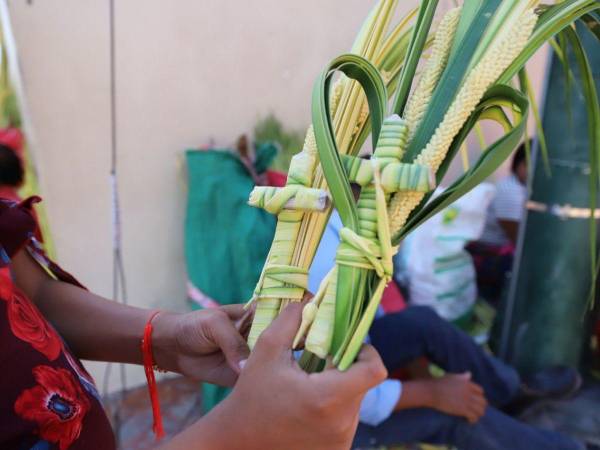 La capitalcolonial de Honduras se viste de verde con la tradicional venta de ramos de olivo<b>.</b> Desde la tarde del jueves pobladores de varios municipios del sur de Francisco Morazán llegaron a Comayagua, para ofrecer los ramos.