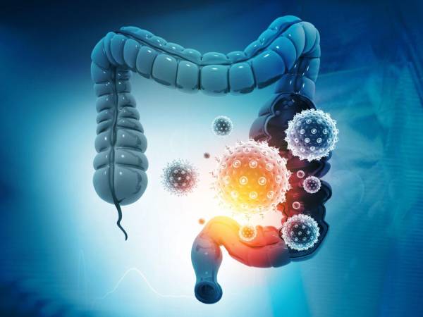 Los resultados de este estudio favorecen el abordaje integral en el tratamiento de los problemas relacionados con la salud metabólica y el consumo excesivo de alimentos que deriva en obesidad.