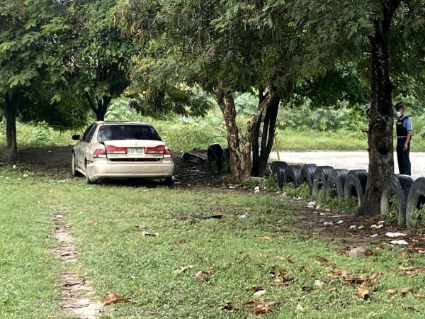 El vehículo fue dejado abajo de unos árboles.