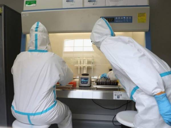 Trabajadores sanitarios analizan muestras recopiladas durante pruebas masivas en un laboratorio móvil en Yakarta, Indonesia, el 18 de junio de 2020. Foto: Agencia AP.