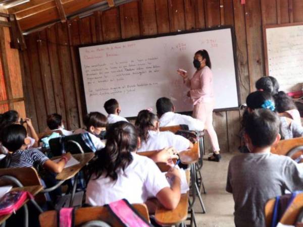 Las autoridades de educación esperan que la participación del magisterio en el concurso sea masiva.