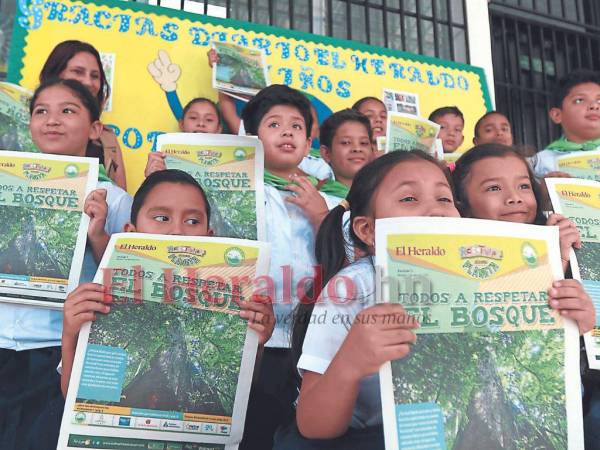 Los niños de las escuelas de cada edición del programa desarrollan jornadas de reforestación y conocen los beneficios que dan los árboles al ambiente.