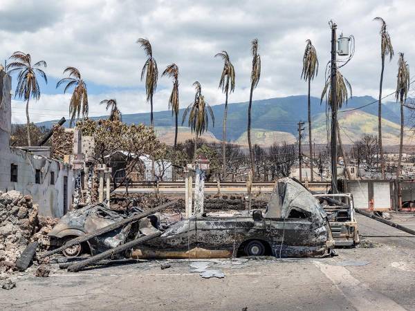 Los múltiples fuegos que se declararon la semana pasada, atizados por los fuertes vientos y la sequía de la isla, siguen ardiendo, pese a los esfuerzos de los bomberos para extinguirlos.