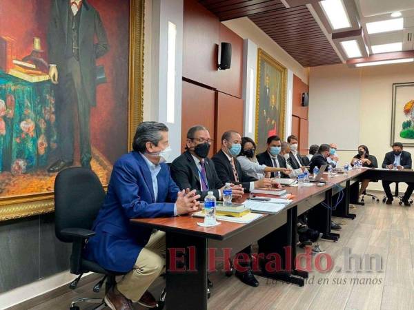 Representantes del Cohep, cámaras de comercio y turismo, así como del sector industrial, llegaron al Congreso Nacional a la reunión con diputados de la comisión de dictamen de la Ley de Empleo por Hora.