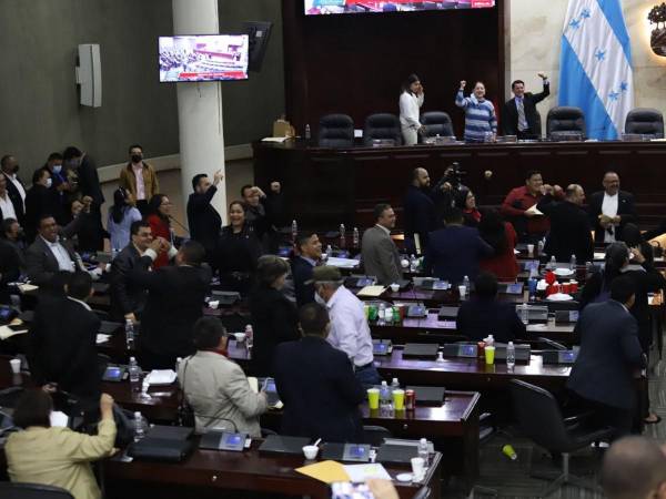 Una jornada de gritos e insultos fue lo que se vivió este viernes en el Congreso Nacional durante el fallido intento de aprobación del Presupuesto 2023.