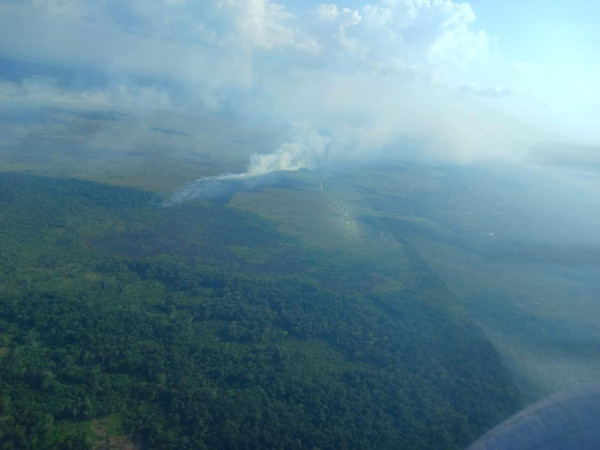 Un nuevo pulmón ambiental se encuentra en llamas tras un voraz incendio.