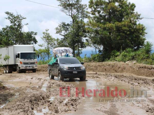 Los municipios con mayores problemas en las carreteras de acceso a las zonas productivas serán los primeros en ser atendidos.