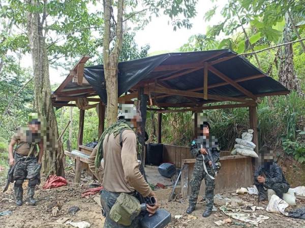 Agentes de las Fuerzas Armadas hallaron la plantación de coca.