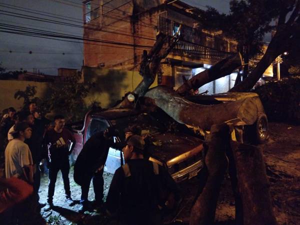 Un enorme árbol destruyó la noche de este miércoles dos carros en la quinta entrada de la colonia Kennedy, después de ceder debido a las lluvias. El antiguo árbol cedió en el parqueo por el sector de la posta femenina, sorprendiendo a los vecinos del sector.