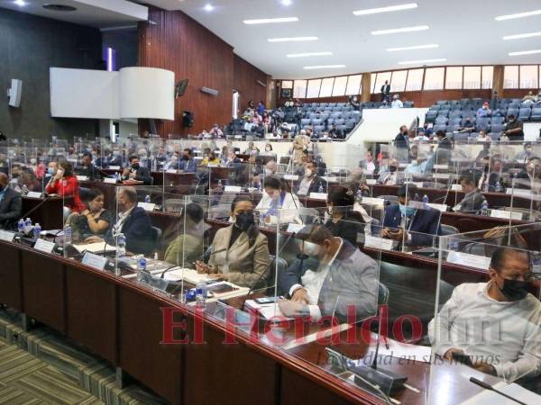 El debate de la abolición de la “Ley de secretos” quedó suspendido la semana pasada en el Congreso Nacional.