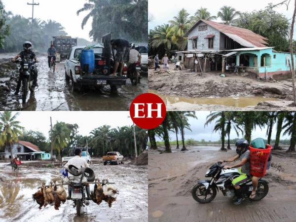 Inundaciones, desplazamientos y preparativos son los primeros efectos del recientemente declarado huracán Julia. El fenómeno cambio levemente su trayectoria, en las últimas horas, pero el país se mantiene en alerta porque seguirá experimentando sus consecuencias.