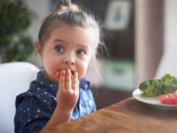 Las dietas vegetarianas se recomiendan seguir de acuerdo a las indicaciones de un especialista.