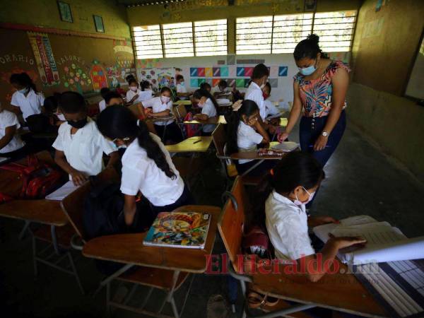 En el nivel prebásico y básico, la cifra de estudiantes matriculados aumentó. Los datos varían de acuerdo con los departamentos.