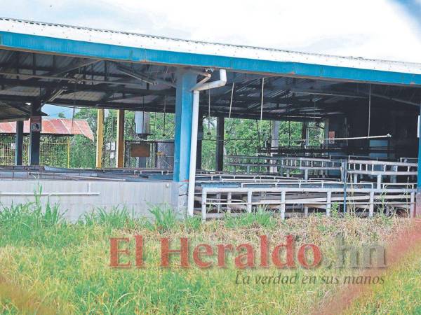 El cierre de fincas podría llevar a conflictos grandes por la invasión de tierras de parte de grupos que buscan aprovecharse.