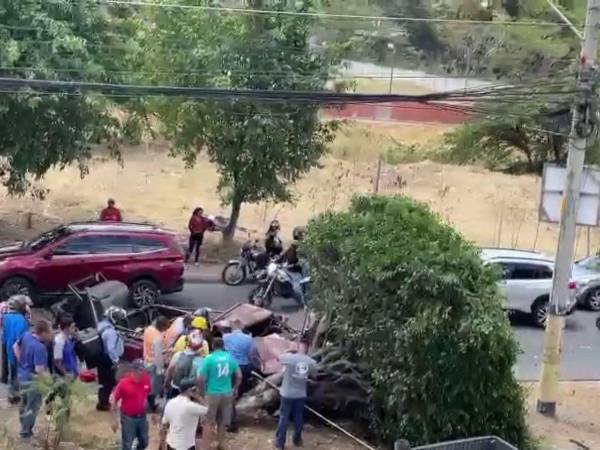 El vehículo impactó contra un árbol que estaba en la mediana.