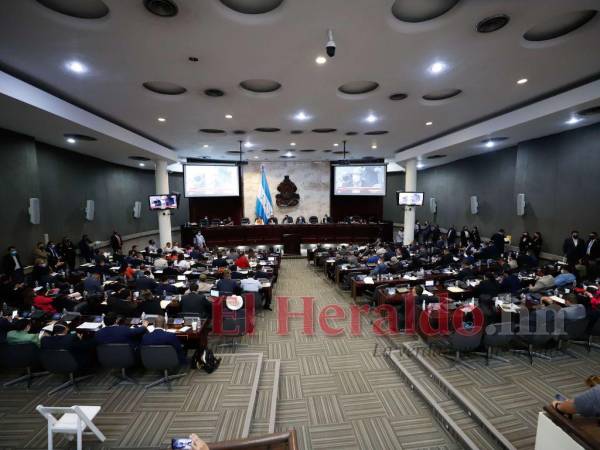 Diversos sectores de sociedad civil, juristas y diputados de oposición coinciden que la propuesta presentada por Luis Redondo violenta la Constitución de la República.