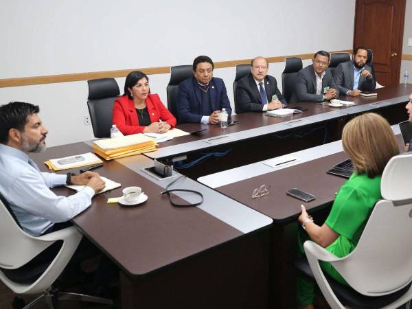 La Comisión Especial integrada por nueve diputados sostuvo una reunión con el fiscal general interino, Johel Zelaya.