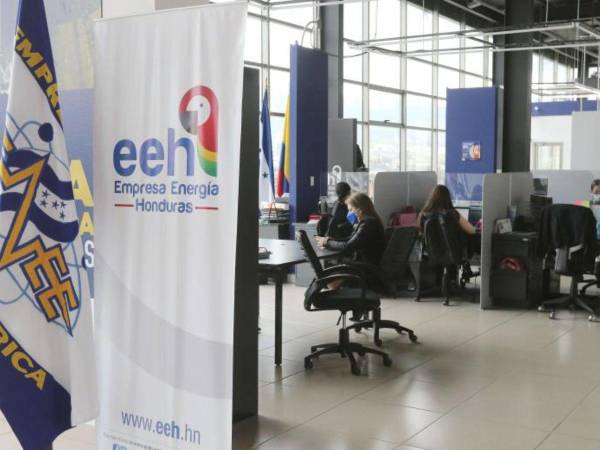 La EEH apenas ha actualizado 61,871 de las acciones realizadas.