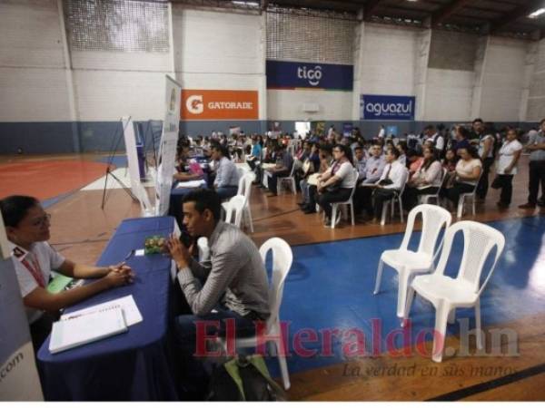 Decenas de jóvenes acuden a diario a las oficinas de la Secretaría de Trabajo en busca de una oportunidad de empleo, pero una gran parte regresa sin haberlo conseguido. La pandemia ha agudizado su situación. Foto: El Heraldo