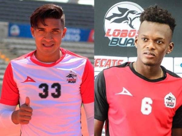 Michael Chirinos y Félix Crisanto se han convertido en dos jugadores importantes en la plantilla de Lobos Buap de México.