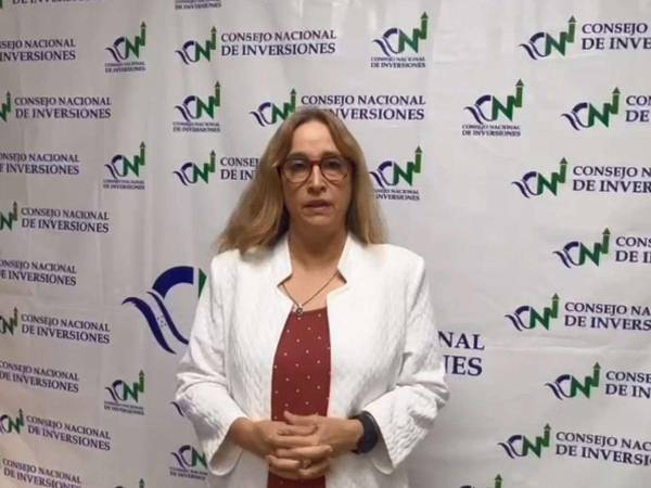 La secretaria del CNI dijo que para los dos regímenes que se crearán con la iniciativa los períodos de beneficios fiscales son muy cortos.