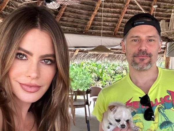 ¿Con quién se queda el perro? La mascota que complica el divorcio de Sofía Vergara y Joe Manganiello