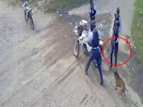 El video del cruel asesinato del perro Toby por defender a su dueño de un grupo de cuatro policías que pretendían arrestarlo ha indignado a la población, en un hecho registrado en la ciudad sureña de Choluteca al sur de Honduras.