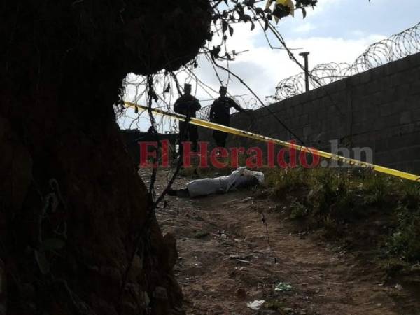 El cadáver quedó tirado en la calle y fue descubierto por vecinos de la zona. Foto Estalin Irías| EL HERALDO