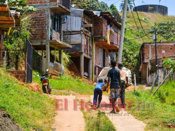 Red Solidaria beneficiará a 350 mil hogares, según el gobierno.