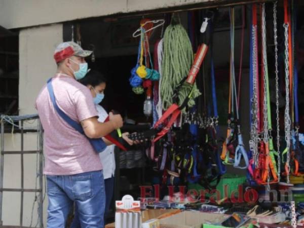 Solo un 30% las empresas dijo estar en condiciones de pagar el impuesto sobre la renta y el 46% no estaba segura. Foto: El Heraldo