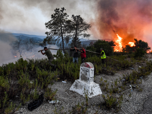 Los incendios volvieron a estallar el 24 de julio en un bosque de pinos tunecino cerca de la frontera con Argelia, luego de otro incendio en el área la semana anterior.