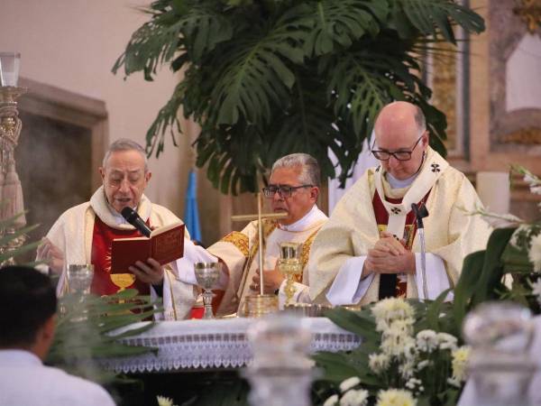 El Miércoles Santo en Honduras es uno de los días de la Semana Santa en la que se conmemora la traición de Judas Iscariote y la preparación para la crucifixión de Jesucristo. A continuación le mostramos imágenes de las actividades religiosas que se han ido desarrollando desde tempranas horas en las iglesias católicas de diversas zonas del país.