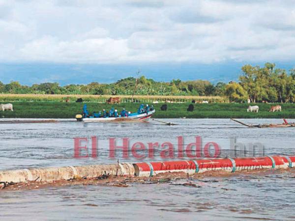 El proyecto fue turnado a la comisión de medio ambiente.